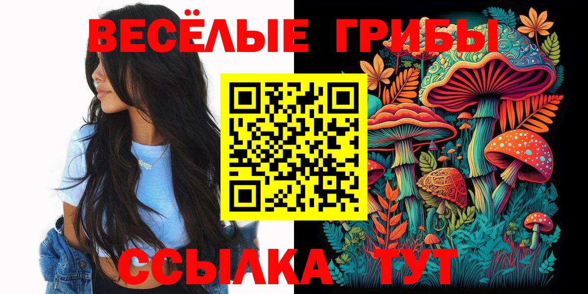 как найти наркотики  Псилоцибиновые грибы прущие грибы  Курчалой  Вход с VPN  Псилоцибиновые грибы Psilocybine cubensis 