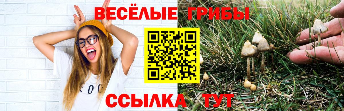 Галлюциногенные грибы ЛСД Курчалой